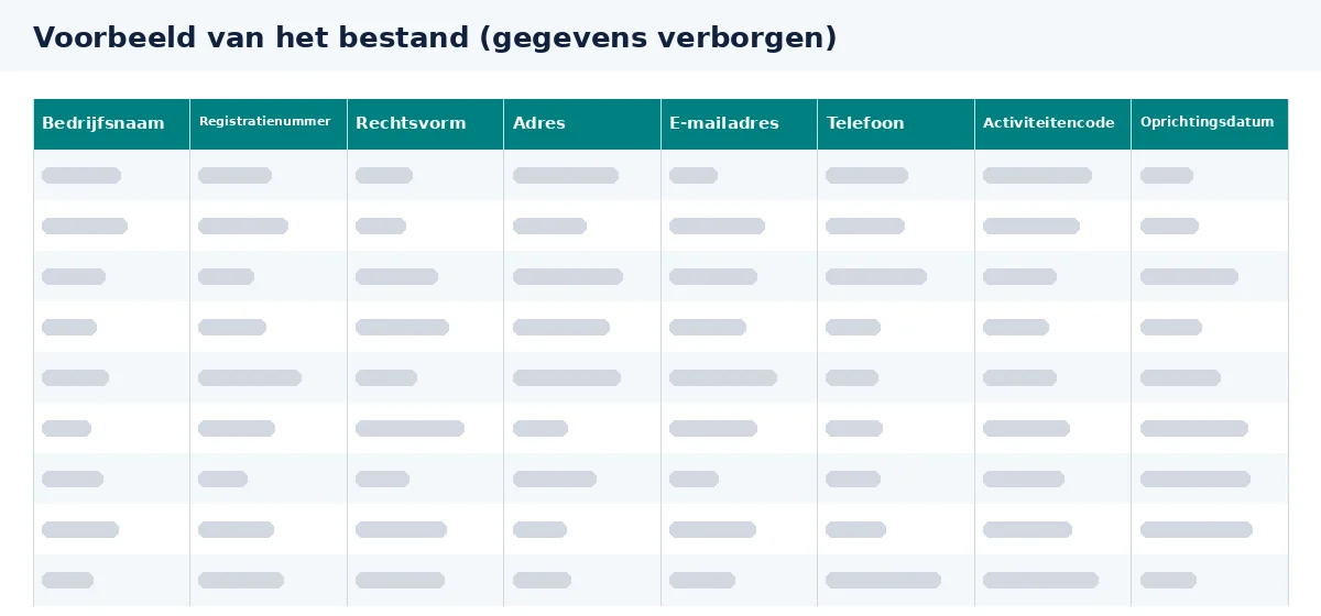 Adressenbestand Nederland: voorbeeld van de kolommen in het Excel-bestand