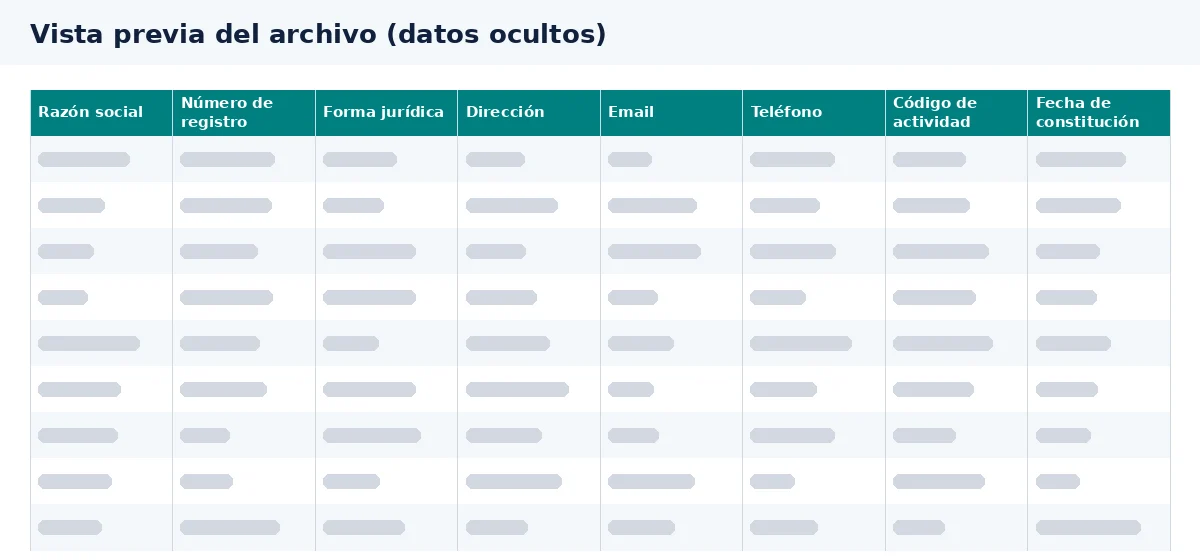 La vista previa muestra las columnas de la base de datos de empresas española.