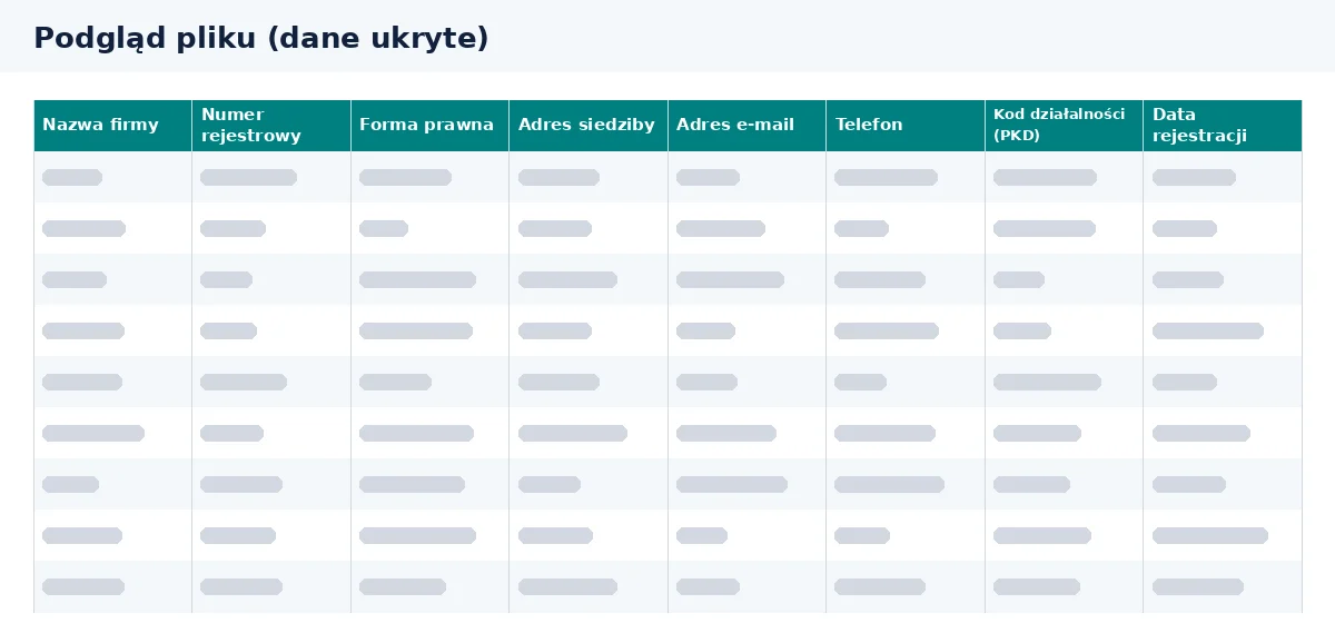 Baza firm budowlanych ma układ kolumn, który sprawdzisz w podglądzie pliku Excel.