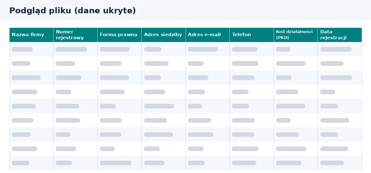 Baza firm IT w Excelu pozwala sprawdzić układ kolumn przed zakupem.