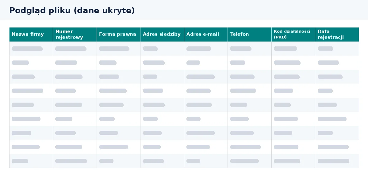 Baza firm produkcyjnych ma układ kolumn, który można sprawdzić w podglądzie pliku Excel.