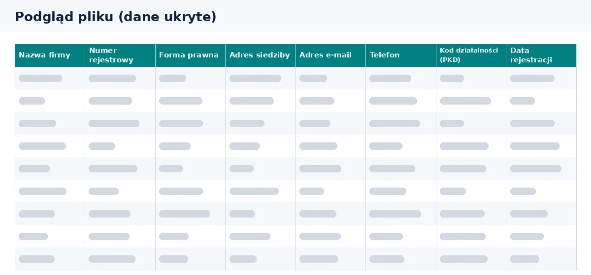 Baza firm transportowych jest przedstawiona w podglądzie kolumn pliku Excel.