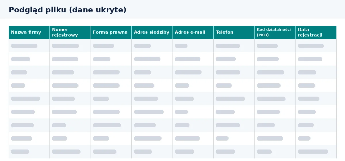 Baza firm ubezpieczeniowych powstaje przez filtrowanie kolumn widocznych w pliku Excel.