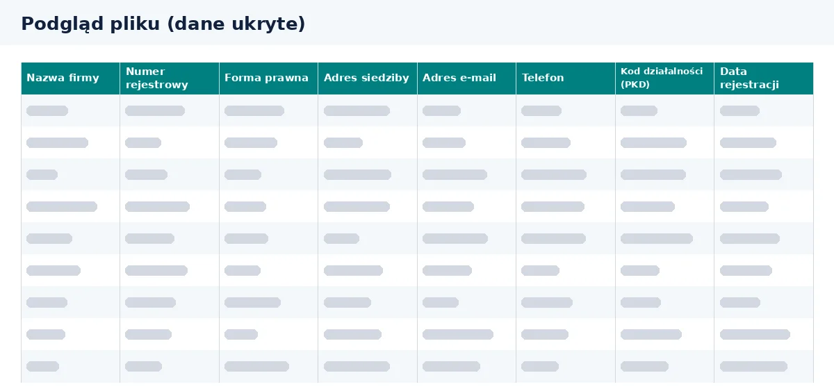Baza klientów b2b jest pokazana w podglądzie kolumn pliku Excel.
