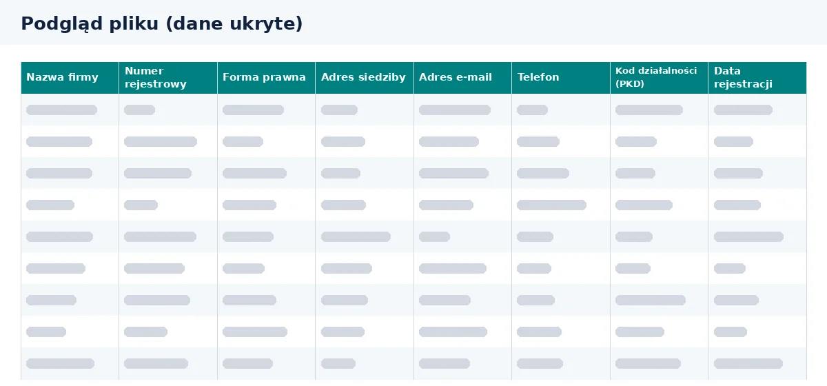 Baza mailingowa firm w Excelu pokazuje kolumny z danymi przedsiębiorstw.