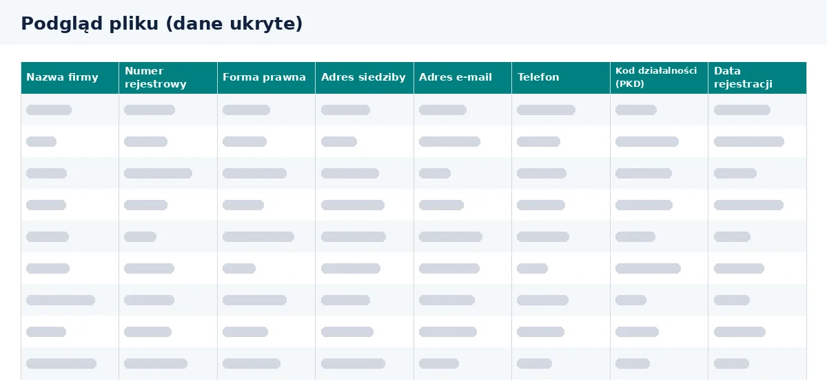 Baza nowych firm w Excelu pokazuje kolumny dostępne w pliku.