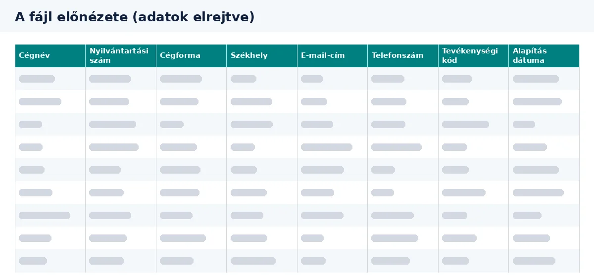 Cégadatbázis Magyarország: az Excel-fájl oszlopainak előnézete