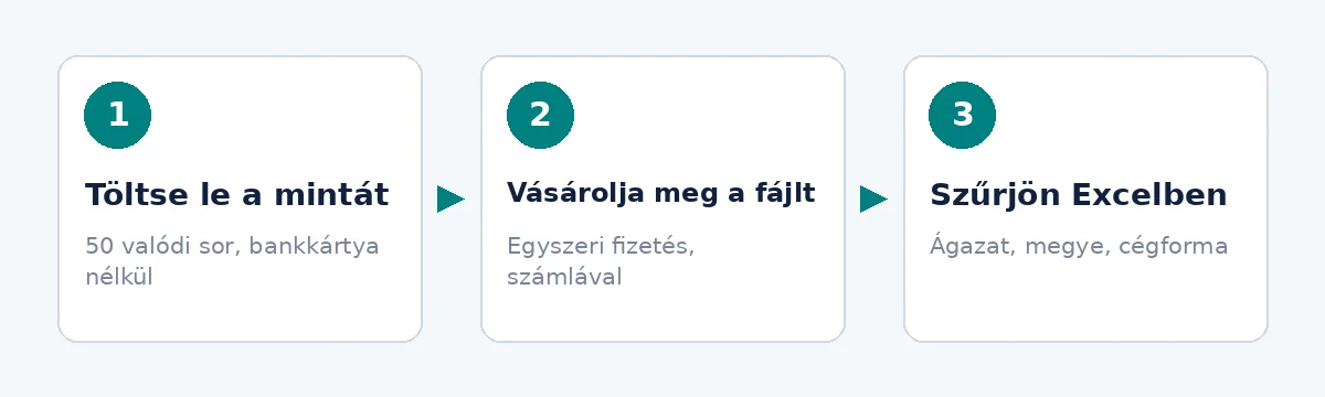 Cégadatbázis Magyarország: három lépés: minta, vásárlás, szűrés Excelben
