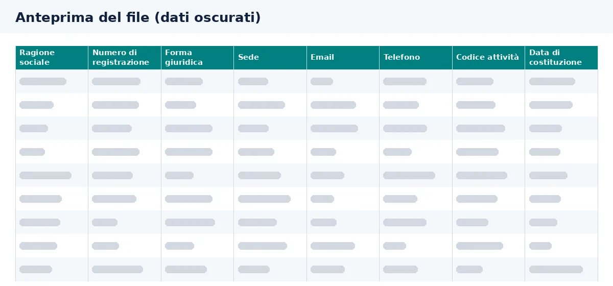 L’anteprima del database aziende italiane mostra le colonne del file Excel.
