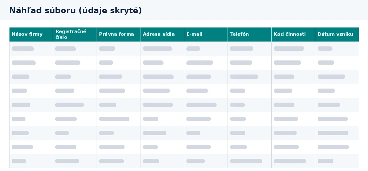 Databáza firiem Slovensko: náhľad stĺpcov v súbore Excel