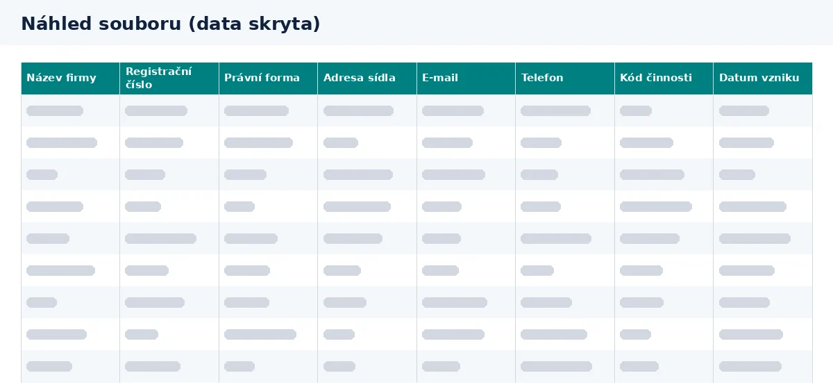 Databáze firem Česká republika: náhled sloupců v souboru Excel