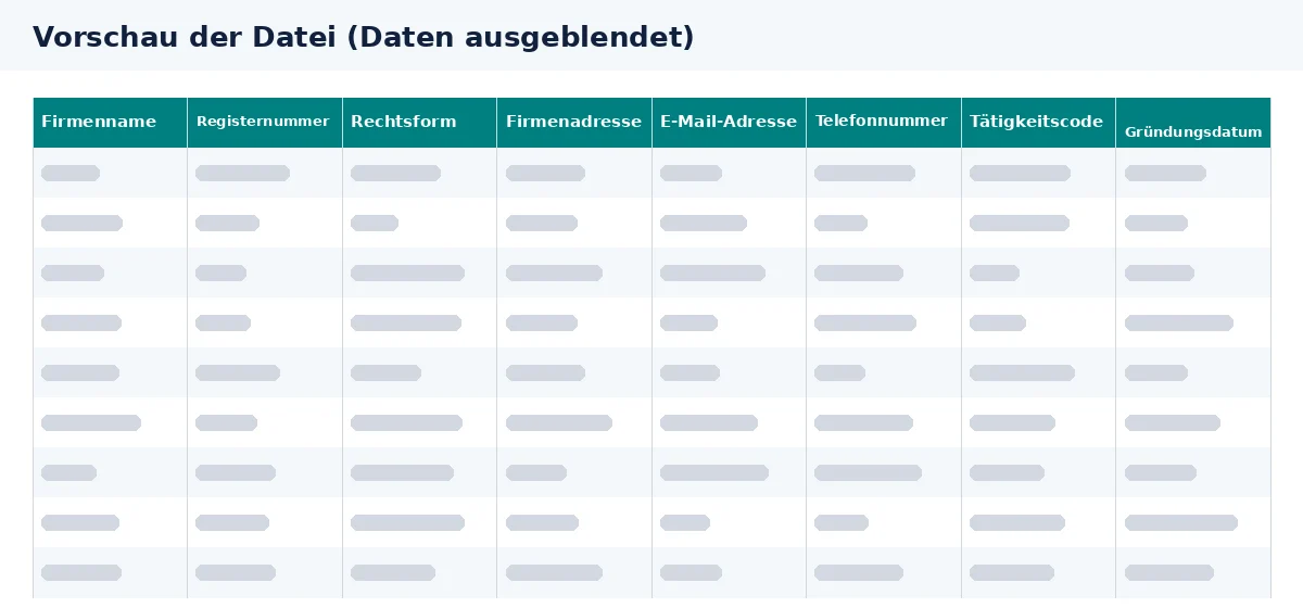 Die Vorschau zeigt E-Mail-Adressen von Firmen mit zugehörigen Unternehmensdaten in Excel.