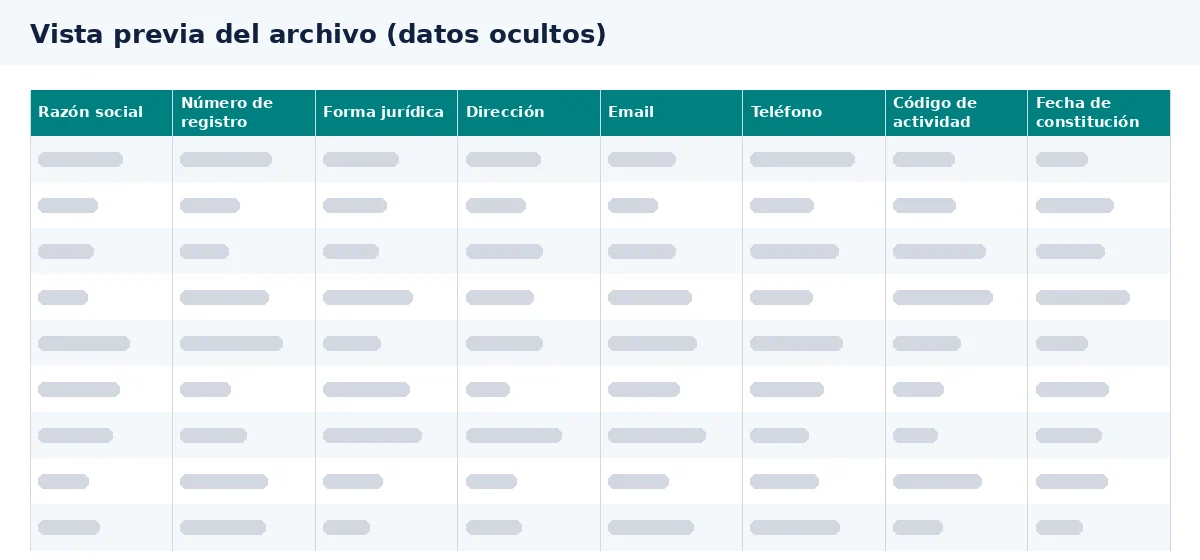 La vista previa permite revisar las columnas de la base de datos de correos de empresas.