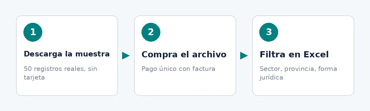 Revisa la muestra de la base de datos de correos de empresas antes de comprar y filtrar en Excel.