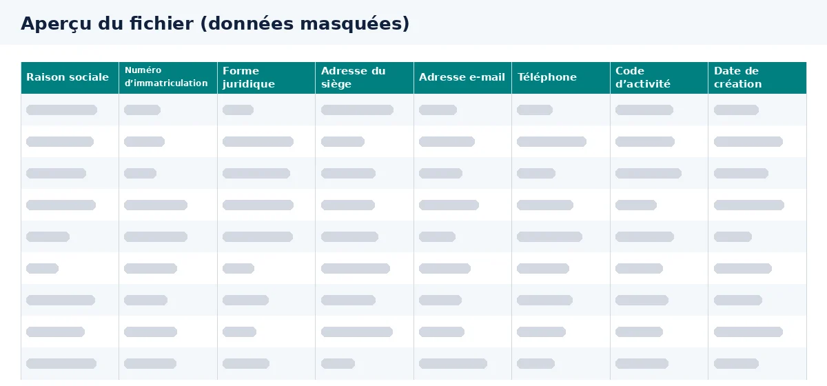 Cet aperçu du fichier de prospection B2B présente les colonnes à examiner dans Excel.