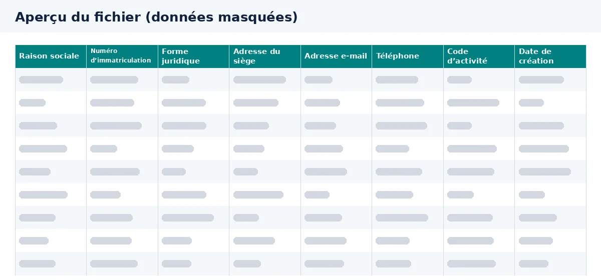 Cet aperçu du fichier email entreprise présente les colonnes disponibles dans Excel.