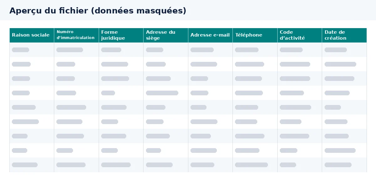 Cet aperçu du fichier entreprises présente les colonnes disponibles dans Excel.