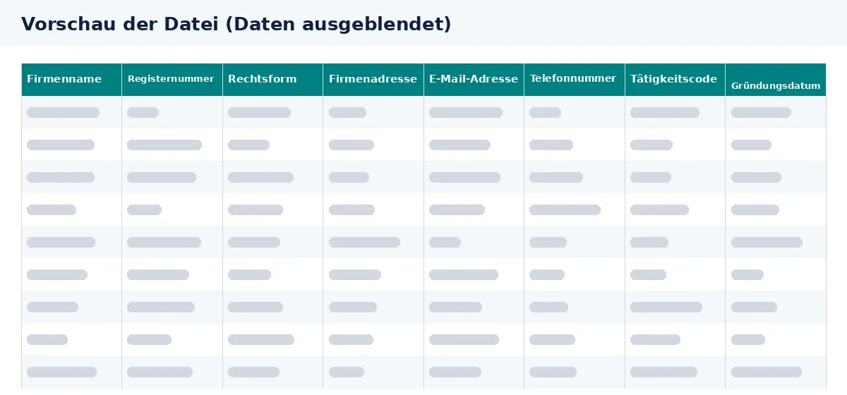 Die Vorschau zeigt Firmenadressen in den Spalten der Excel-Datei.