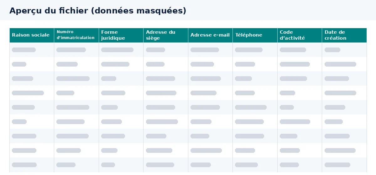 Cet aperçu permet de vérifier les colonnes utiles à une liste d’entreprises à Bordeaux.