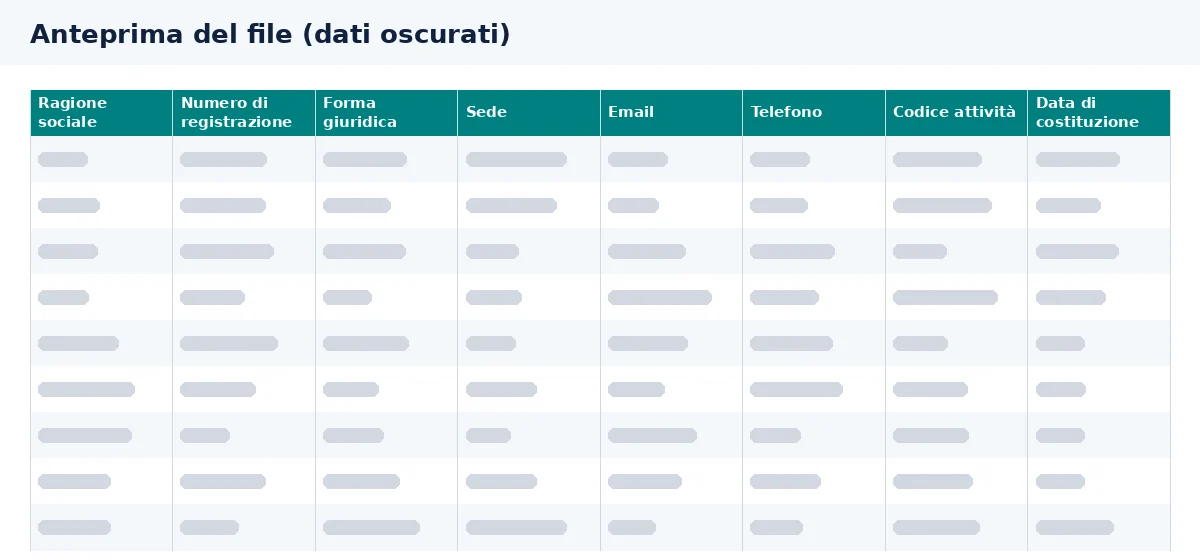 L’anteprima mostra le colonne da usare per costruire un database aziende alimentari in Excel.