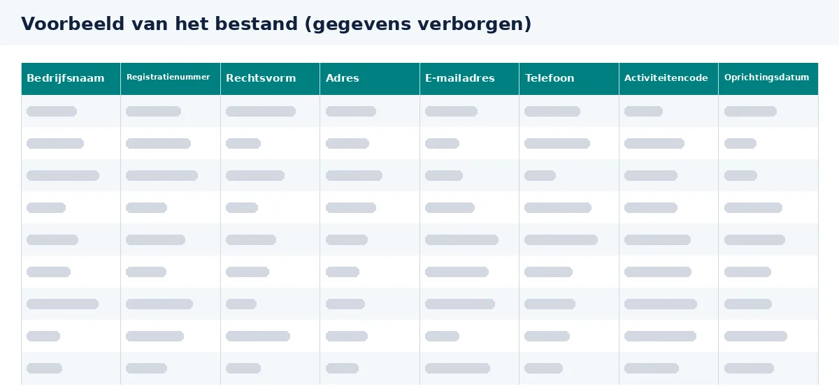 Bekijk de kolommen van het adressenbestand bedrijven voordat je een selectie maakt.