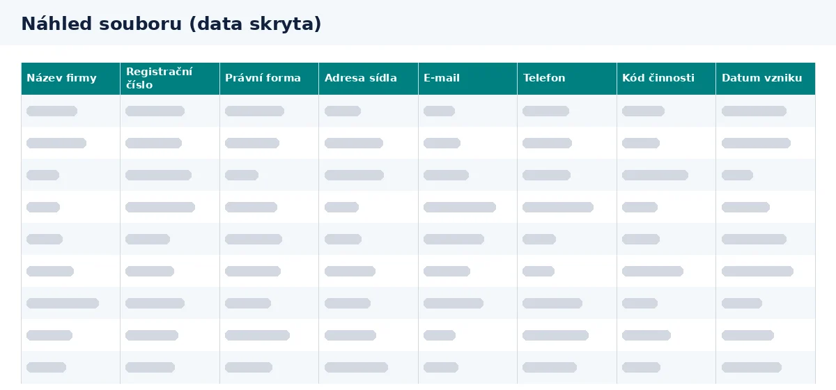 Seznam firem ČR: náhled sloupců v souboru Excel