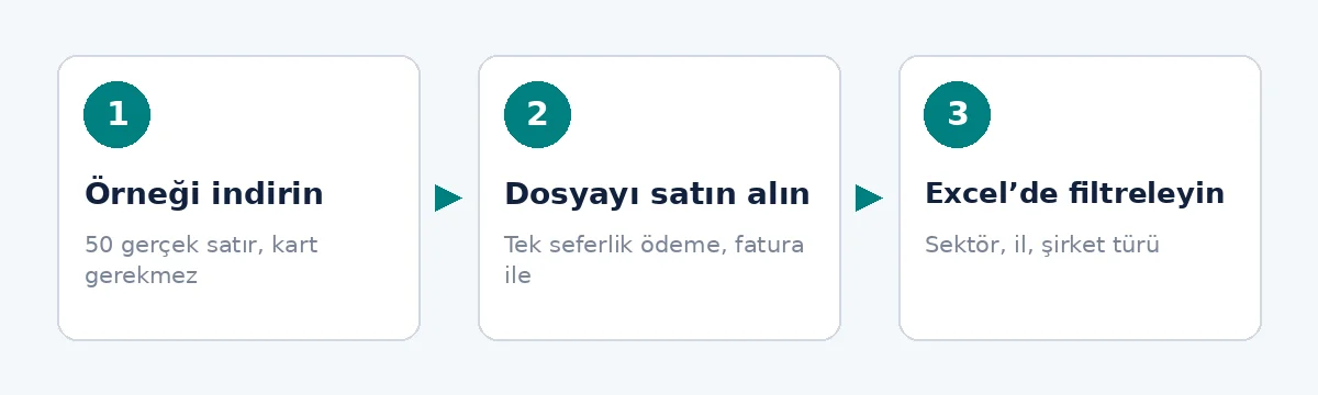 Türkiye firma listesi: üç adım: örnek, satın alma, Excel’de filtreleme