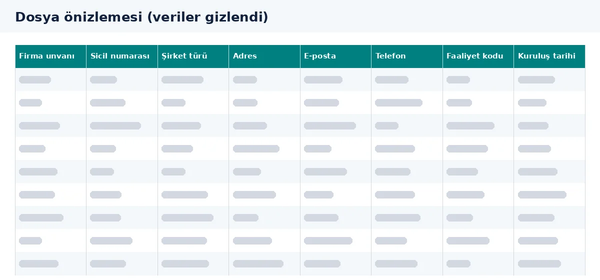 Türkiye firma listesi: excel dosyasındaki sütunların önizlemesi