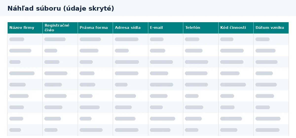 Zoznam firiem Slovensko: náhľad stĺpcov v súbore Excel